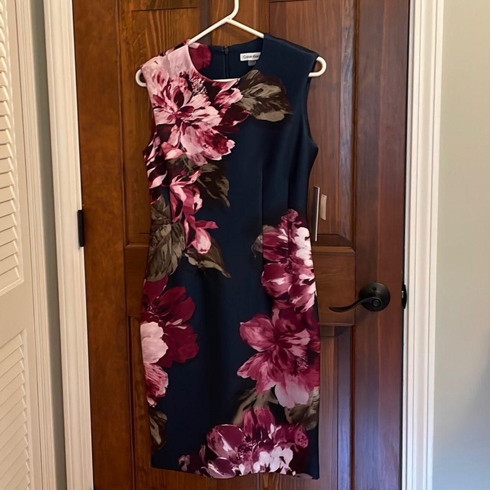 Calvin Klein Pink and Red Sleeveless Sheath Dress